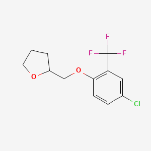 molecular formula C12H12ClF3O2 B1465223 2-{[4-Chloro-2-(trifluoromethyl)phenoxy]methyl}tetrahydrofuran CAS No. 1353497-90-1