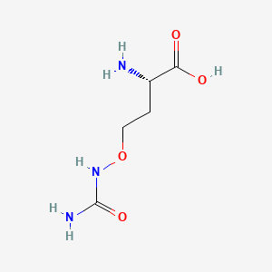 molecular formula C5H11N3O4 B14653265 O-Ureidohomoserine CAS No. 51767-67-0