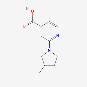2-(3-Methylpyrrolidin-1-yl)pyridine-4-carboxylic acid