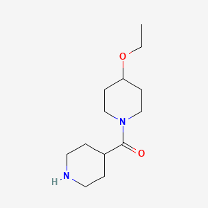 (4-Ethoxypiperidin-1-yl)(piperidin-4-yl)methanone