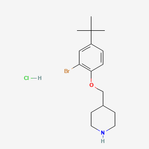 molecular formula C16H25BrClNO B1465936 2-Bromo-4-(tert-butyl)phenyl 4-piperidinylmethyl ether hydrochloride CAS No. 1219967-81-3