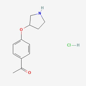 molecular formula C12H16ClNO2 B1465937 1-[4-(3-Pyrrolidinyloxy)phenyl]-1-ethanone hydrochloride CAS No. 1220021-21-5