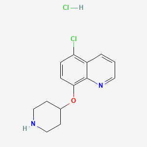 molecular formula C14H16Cl2N2O B1465938 5-Chloro-8-quinolinyl 4-piperidinyl ether hydrochloride CAS No. 1219976-37-0