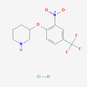 3-[2-Nitro-4-(trifluoromethyl)phenoxy]piperidine hydrochloride