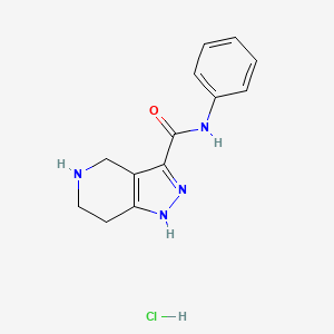 molecular formula C13H15ClN4O B1465956 N-Phenyl-4,5,6,7-tetrahydro-1H-pyrazolo[4,3-c]pyridine-3-carboxamide hydrochloride CAS No. 1220035-70-0