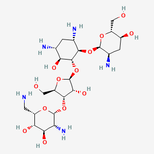 molecular formula C23H45N5O13 B14662479 Lividomycin B 