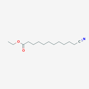 molecular formula C14H25NO2 B14662984 Ethyl 11-cyanoundecanoate CAS No. 52162-19-3