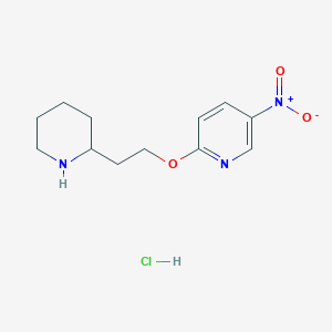 molecular formula C12H18ClN3O3 B1466304 5-Nitro-2-[2-(2-piperidinyl)ethoxy]pyridine hydrochloride CAS No. 1219976-60-9