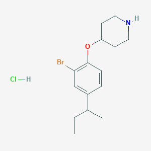 molecular formula C15H23BrClNO B1466443 4-[2-Bromo-4-(sec-butyl)phenoxy]piperidine hydrochloride CAS No. 1220018-72-3