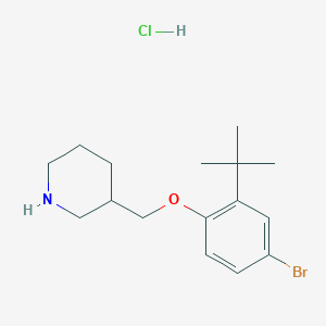 molecular formula C16H25BrClNO B1466444 4-Bromo-2-(tert-butyl)phenyl 3-piperidinylmethyl ether hydrochloride CAS No. 1219972-47-0