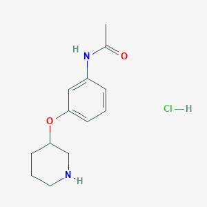 molecular formula C13H19ClN2O2 B1466510 N-[3-(3-Piperidinyloxy)phenyl]acetamide hydrochloride CAS No. 1219960-91-4