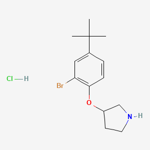 molecular formula C14H21BrClNO B1466516 3-(2-Bromo-4-(tert-butyl)phenoxy)pyrrolidine hydrochloride CAS No. 1219967-74-4