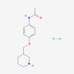 molecular formula C14H21ClN2O2 B1466528 N-[4-(3-Piperidinylmethoxy)phenyl]acetamide hydrochloride CAS No. 1220028-28-3