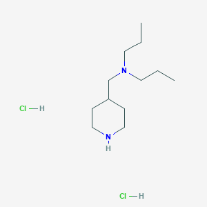 molecular formula C12H27ClN2 B1466534 N-(Piperidin-4-ylmethyl)-N-propylpropan-1-amine dihydrochloride CAS No. 1219957-16-0