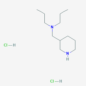 molecular formula C12H28Cl2N2 B1466535 N-(Piperidin-3-ylmethyl)-N-propylpropan-1-amine dihydrochloride CAS No. 1219957-11-5