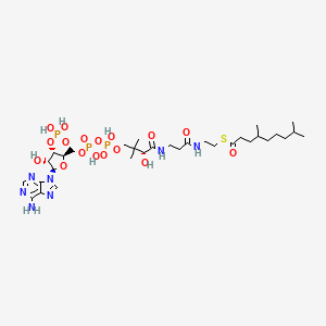 B1466538 4,8-dimethylnonanoyl-CoA CAS No. 204120-61-6