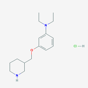 molecular formula C16H27ClN2O B1466543 N,N-Diethyl-3-(3-piperidinylmethoxy)aniline hydrochloride CAS No. 1220036-08-7