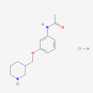 molecular formula C14H21ClN2O2 B1466628 N-[3-(3-Piperidinylmethoxy)phenyl]acetamide hydrochloride CAS No. 1220027-71-3