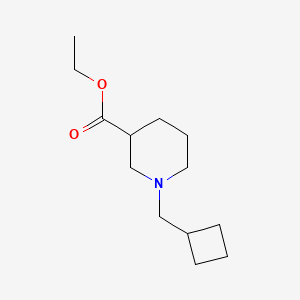molecular formula C13H23NO2 B1466776 Ethyl 1-(cyclobutylmethyl)piperidine-3-carboxylate CAS No. 1424941-08-1