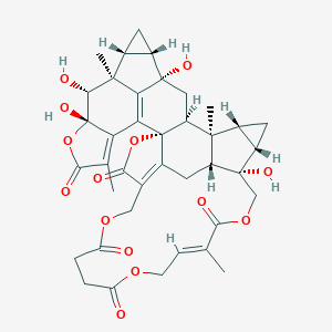 chloramultilide C