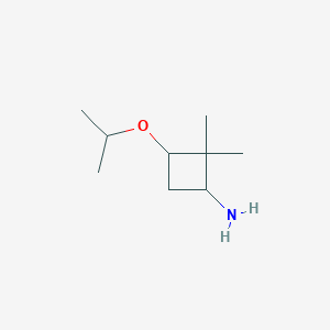 2,2-Dimethyl-3-(propan-2-yloxy)cyclobutan-1-amine