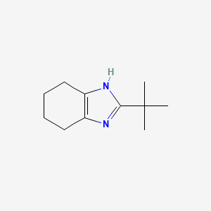 B1467748 2-tert-butyl-4,5,6,7-tetrahydro-1H-benzimidazole CAS No. 1428233-64-0