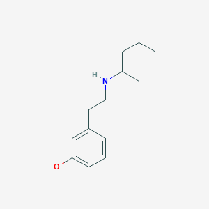 molecular formula C15H25NO B1467838 [2-(3-Methoxyphenyl)ethyl](4-methylpentan-2-yl)amine CAS No. 1920116-46-6
