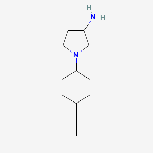 1-(4-(Tert-butyl)cyclohexyl)pyrrolidin-3-amine