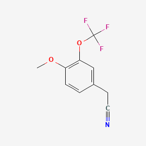 molecular formula C10H8F3NO2 B1468216 4-Methoxy-3-(trifluoromethoxy)phenylacetonitrile CAS No. 853771-93-4
