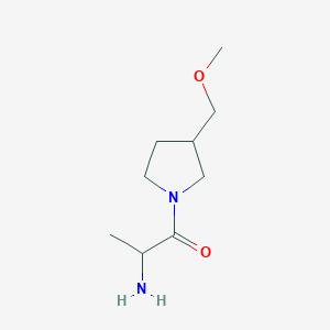 2-Amino-1-[3-(methoxymethyl)pyrrolidin-1-yl]propan-1-one