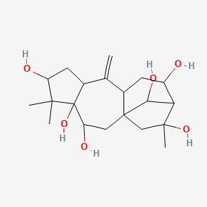 molecular formula C20H32O6 B14693423 Grayanotox-10-ene-3,5,6,12,14,16-hexol CAS No. 33880-98-7