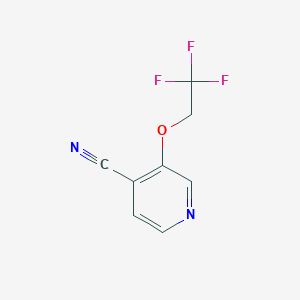 3-(2,2,2-Trifluoroethoxy)isonicotinonitrile