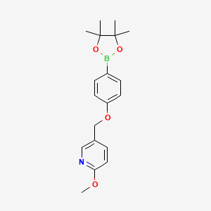 molecular formula C19H24BNO4 B1469384 2-Methoxy-5-{[4-(4,4,5,5-tetramethyl-1,3,2-dioxaborolan-2-yl)phenoxy]methyl}pyridine CAS No. 1312479-59-6