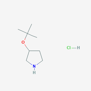 3-(Tert-butoxy)pyrrolidine hydrochloride