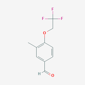 molecular formula C10H9F3O2 B1470100 3-Methyl-4-(2,2,2-trifluoroethoxy)-benzaldehyde CAS No. 1520893-25-7