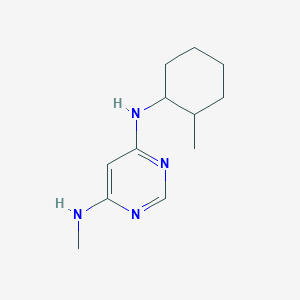 molecular formula C12H20N4 B1470728 N4-methyl-N6-(2-methylcyclohexyl)pyrimidine-4,6-diamine CAS No. 1538536-41-2