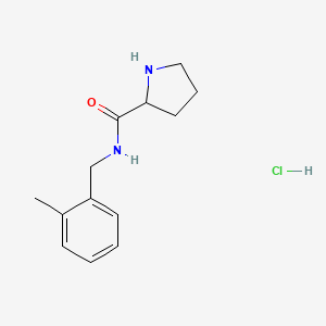 molecular formula C13H19ClN2O B1470834 N-[(2-methylphenyl)methyl]pyrrolidine-2-carboxamide hydrochloride CAS No. 1423025-10-8