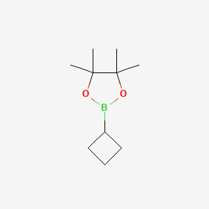 molecular formula C10H19BO2 B1470892 2-Cyclobutyl-4,4,5,5-tetramethyl-1,3,2-dioxaborolane CAS No. 1360914-08-4