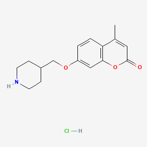 4-methyl-7-(piperidin-4-ylmethoxy)-2H-chromen-2-one hydrochloride