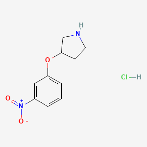 molecular formula C10H13ClN2O3 B1471124 3-(3-Nitrophenoxy)pyrrolidine hydrochloride CAS No. 1425040-08-9