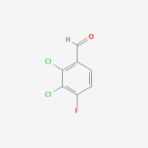 molecular formula C7H3Cl2FO B1471286 2,3-二氯-4-氟苯甲醛 CAS No. 845907-07-5