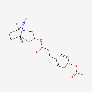 molecular formula C19H25NO4 B14715048 Phloretic acid, 3-alpha-tropanyl ester, acetate CAS No. 23035-93-0