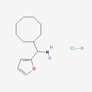 molecular formula C13H22ClNO B1471507 Cyclooctyl(furan-2-yl)methanamine hydrochloride CAS No. 1864060-11-6