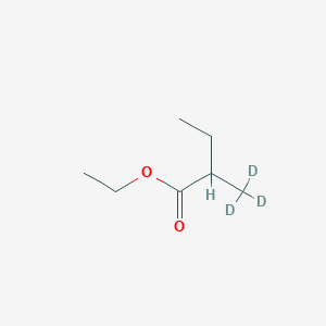B147248 Ethyl 2-(trideuteriomethyl)butanoate CAS No. 181878-39-7