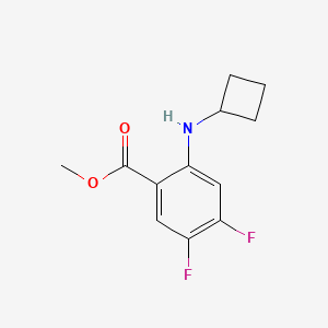 B1472605 Methyl 2-(cyclobutylamino)-4,5-difluorobenzoate CAS No. 1593887-32-1