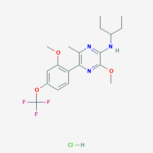 NGD 98-2 hydrochloride