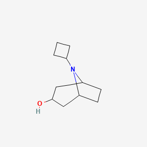 molecular formula C11H19NO B1472846 8-Cyclobutyl-8-azabicyclo[3.2.1]octan-3-ol CAS No. 1862368-98-6