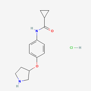 molecular formula C14H19ClN2O2 B1473142 N-(4-(pyrrolidin-3-yloxy)phenyl)cyclopropanecarboxamide hydrochloride CAS No. 2098093-05-9