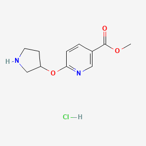 Methyl 6-(pyrrolidin-3-yloxy)nicotinate hydrochloride