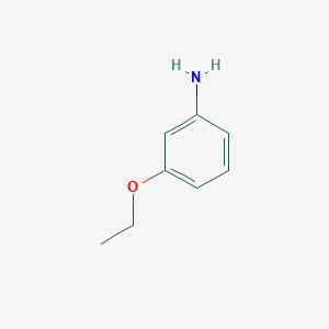 molecular formula C8H11NO B147397 3-乙氧基苯胺 CAS No. 621-33-0